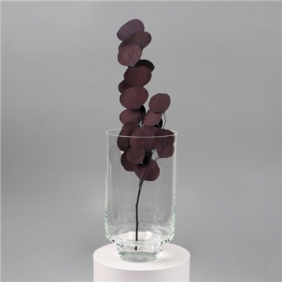 Ваза «Лола», 3.1 л, 25×14 см, стекло, прозрачная