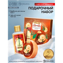 Новогодний подарочный набор косметики: гель для душа 100 мл и бомбочка для ванны 100 г, аромат мандарин, URAL LAB