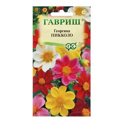 Семена цветов Георгина "Пикколо", ц/п,  смесь,  0,3 г