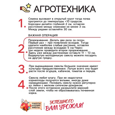 Семена Свёкла «Цилиндра», 2 г, «Рецепты дедушки Никиты»