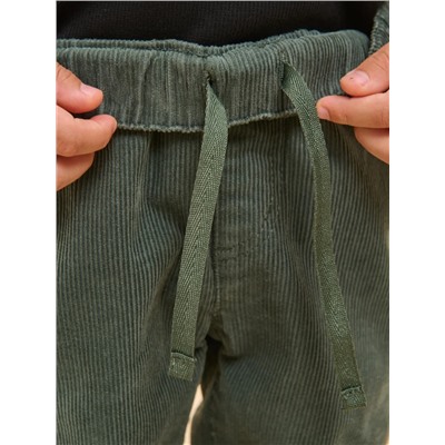 PELICAN Брюки BWP3296