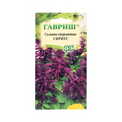 Семена цветов Сальвия Сириус,* карликовая 4 шт.