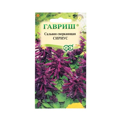 Семена цветов Сальвия Сириус,* карликовая 4 шт.