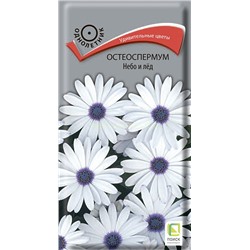 Остеоспермум Небо и лед (одн) (П)