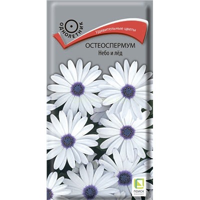 Остеоспермум Небо и лед (одн) (П)