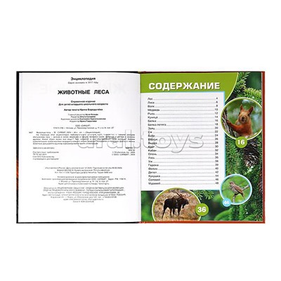 Животные леса. Энциклопедия.