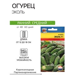 Семена Огурец "Эколь" F1, 0,2 г.