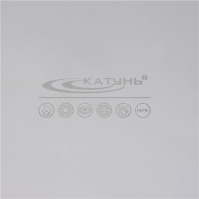 Котёл Катунь «Общепит», 25 л, d=35 см, h=30 см, нержавеющая сталь