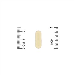 Oregon's Wild Harvest, Garlic, 90 Gelatin Capsule