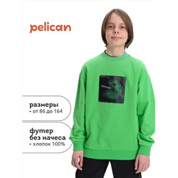 PELICAN Толстовка BFN3369