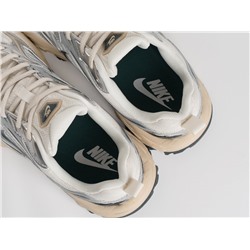 Кроссовки Nike Fiyi V2