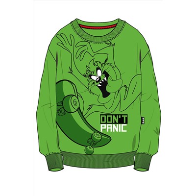 Свитшот PLAYTODAY, 970585