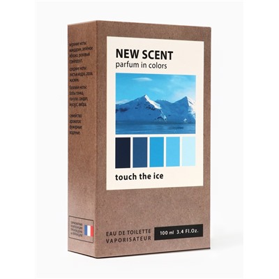 Туалетная вода мужская New Scent Touch The Ice, 100 мл