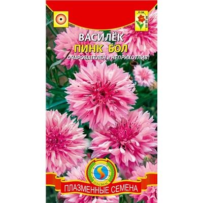Василек Пинк бол (Код: 93040)