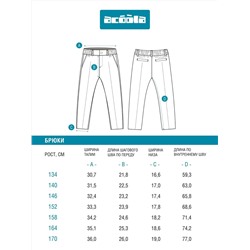 Acoola Брюки 20110160430