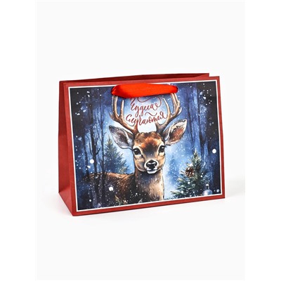 Пакет подарочный новогодний крафтовый, «Чудеса случаются», 23×18×10 см