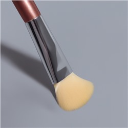 Набор кистей для макияжа PASTEL BLUSH, 5 шт., розовый