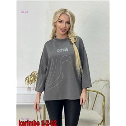 Толстовка бронь 1904019-1