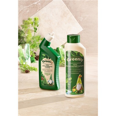 Многофункциональный гель для очищения туалета «Хвойный микс» Home Gnome Greenly