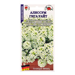 Семена Алиссум «Гига Уайт», 0.01 г, «Золотая Сотка Алтая»