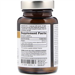 Quality of Life Labs, Deodorex, с экстрактом грибов Champex, 250 мг, 60 вегетарианских капсул