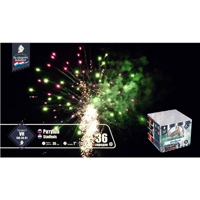 Фейерверк VH100-36-01 Ратуша / Stadhius (1" х 36)