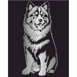 Гравюра 20х25,5 см SGHK №75 "Сибирский хаски" (серебро) Hobbius