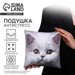 Подушка декоративная антистресс, кот «Британец»