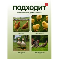 Кормушка бункерная для домашней птицы на 10 кг, пластик