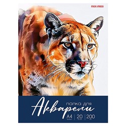 Папка для акварели А4 "Разнообразная акварель - 5" цветная обл., 20л. 200г/м2