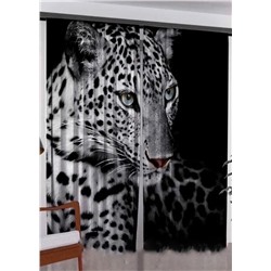 Фотошторы #23062501