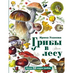 АСТ Уханова И.А. "Грибы в лесу"