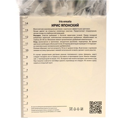 Корневище Ирис японский Шугар Доум, р-р I, 1 шт.