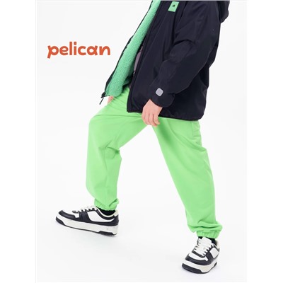 PELICAN Брюки BFPQ3321U