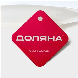 Кисть с резервуаром для масла Доляна «Фобос», силикон, 19 см, оранжевая