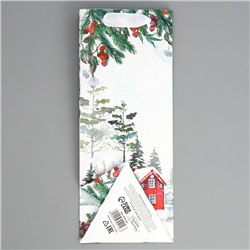 Пакет новогодний подарочный под бутылку, треугольный «Чудо», 13×32×11 см