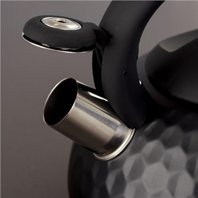 УЦЕНКА Чайник со свистком Magistro Galaxy, 3 л, индукция, ручка soft-touch, цвет чёрный