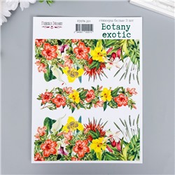 Набор стикеров Botany exotic, 3 шт. на листе