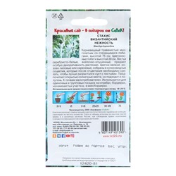 Семена цветов Стахис «Нежность», 0.1 г, «СеДеК»