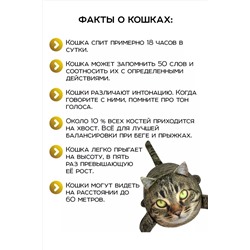 Игрушка-антистресс Кот Василий НАТАЛИ, 1082983