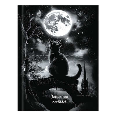 Записная книжка 64 л., А6, клетка "Лунный кот"