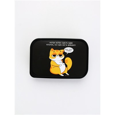 Ланч - бокс прямоугольный «Кот», 1200 мл