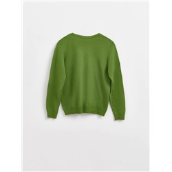 Джемперы ESLI Джемпер для мальчиков 16С-32СП