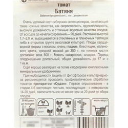 Семена Томат «Батяня», раннеспелый, индетерминантный, высокорослый, 20 шт., «Сибирский сад»