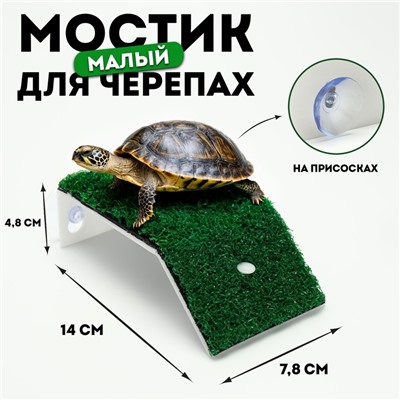 Мостик для черепах малый, на присосках, 14×7.8×4.8 см