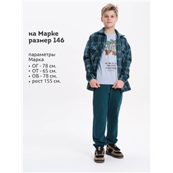 PELICAN Брюки BFPQ3321U