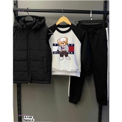 Костюм тройка 1848247-6