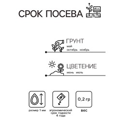 Семена Гипсофила "Белая метельчатая", ц/п,  0,2 гр.