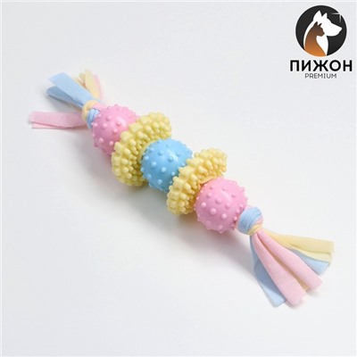 Игрушка жевательная Пижон Premium на верёвке, 5 элементов, термопластичная резина, МИКС