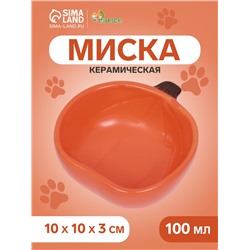 Миска керамическая для грызунов «Тыква» 10×10×4.3 см